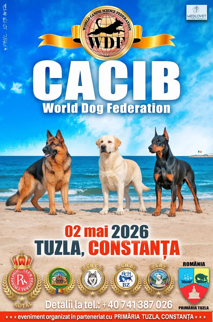 Afiș CACIB Tuzla — WDF Constanța Dog Show, 2 mai 2026