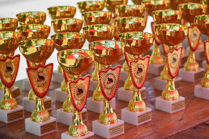 Cupele de premiere, aliniate pe masă înaintea începerii competiției