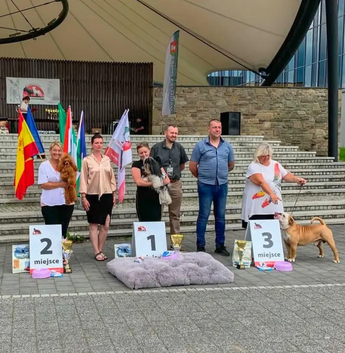 Podiumul final, cu primele trei clasate și expozanții lor, în fața sălii de expoziție